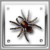 Immagine profilo di scorpione531